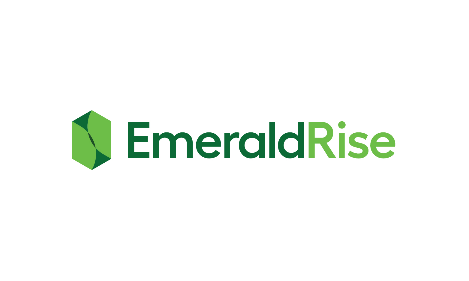 EmeraldRise.com - Catchy premium domain marketplace